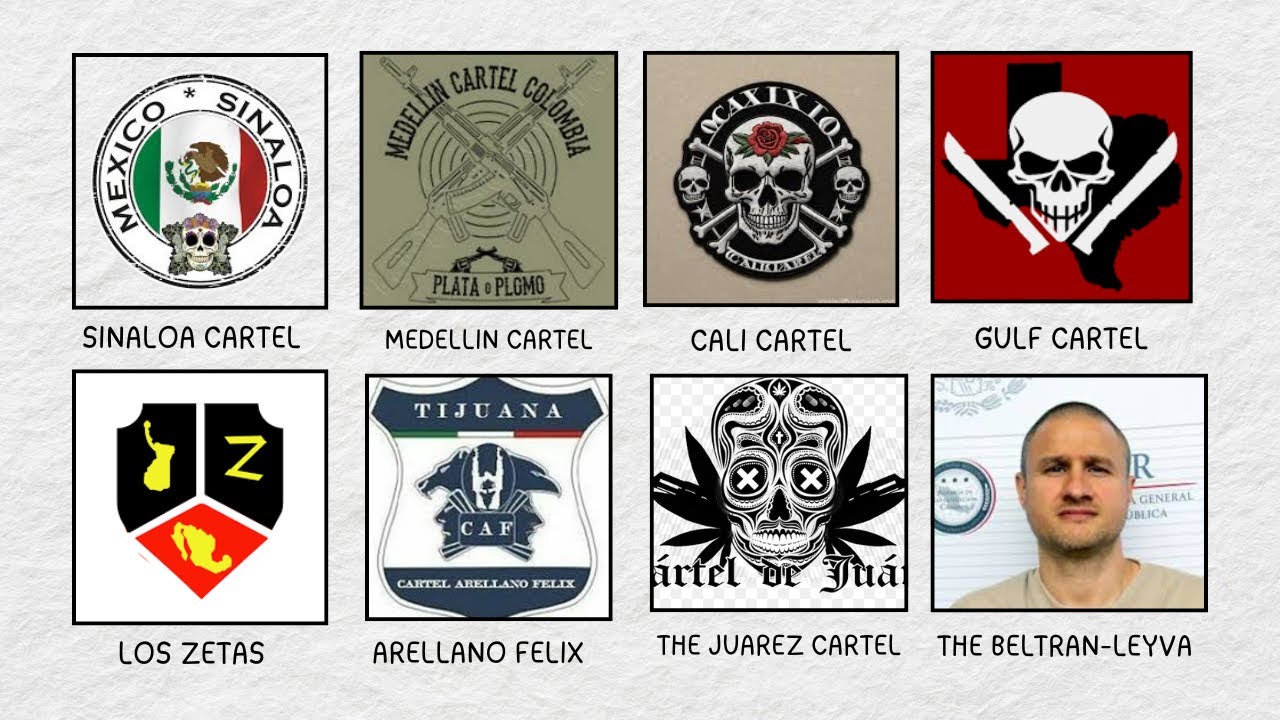 Every Major Drug Empires (Cartels)  Explained In 11 Minutes