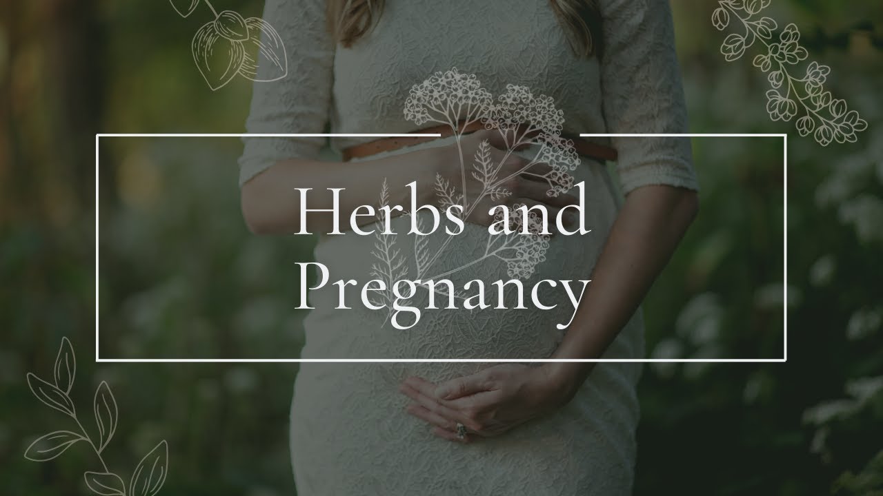 Herbs and Pregnancy
