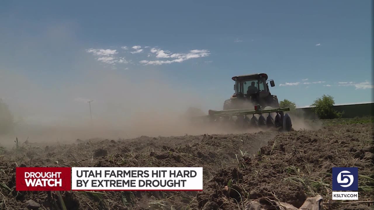 Utah Farmers Hit Hard By Extreme Drought
