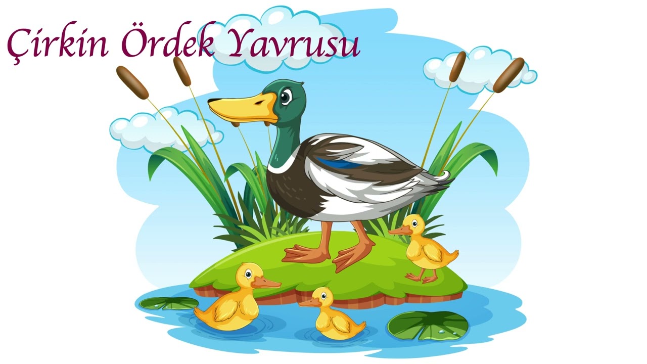 Çirkin Ördek Yavrusu Masalı