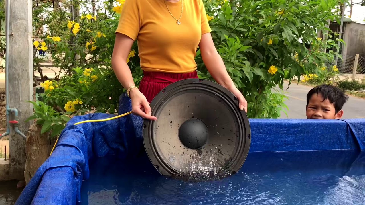 Bỏ loa siêu to xuống nước cho cá nghe nhạc và cái kết bất ngờ/ Sỹ Thanh TV