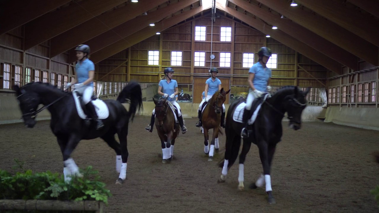 Hölzlhof 20 Jahre Jubiläumsfeier - Dressurquadrille