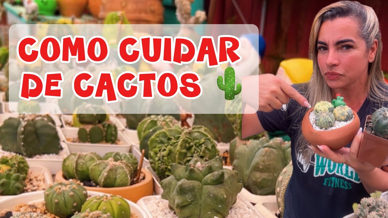 Como Cuidar de Cactos 🌵 Guia Básico Completo para Iniciantes + Produtos Indicados
