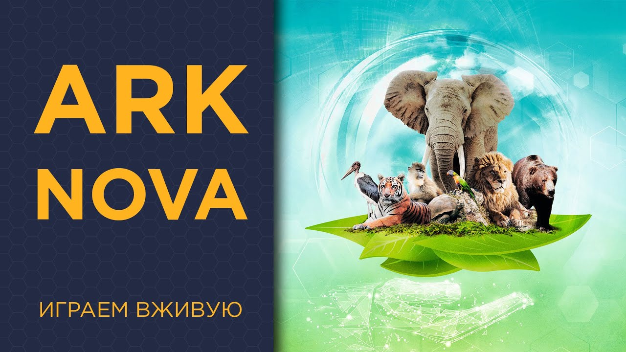 Ark Nova &mdash; Играем вживую