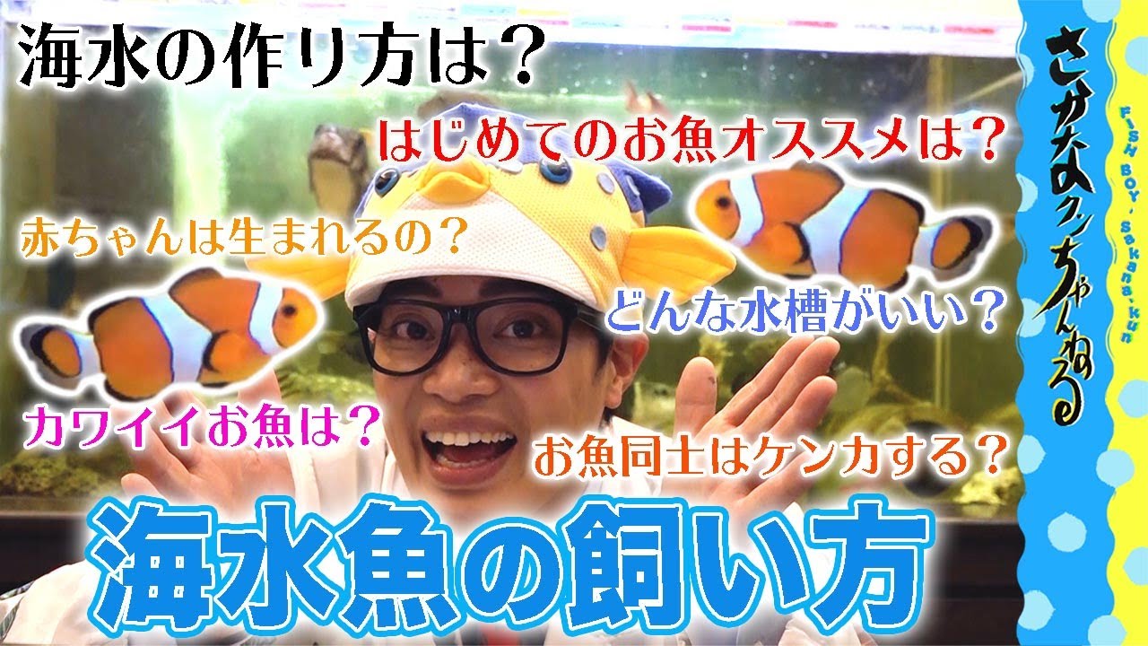 【はじめての海水魚飼育】さかなクンがオススメするお魚