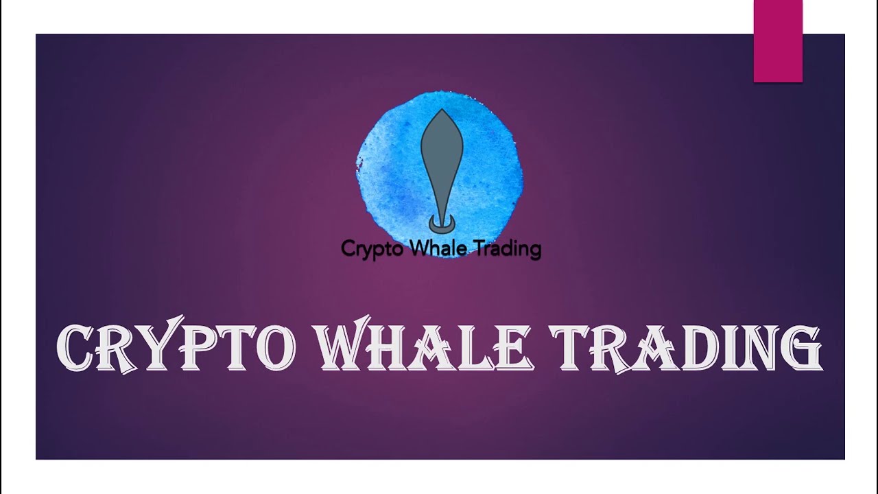 Crypto Whale Trading Introduction!!! #cryptocurrency #bitcoin #trading