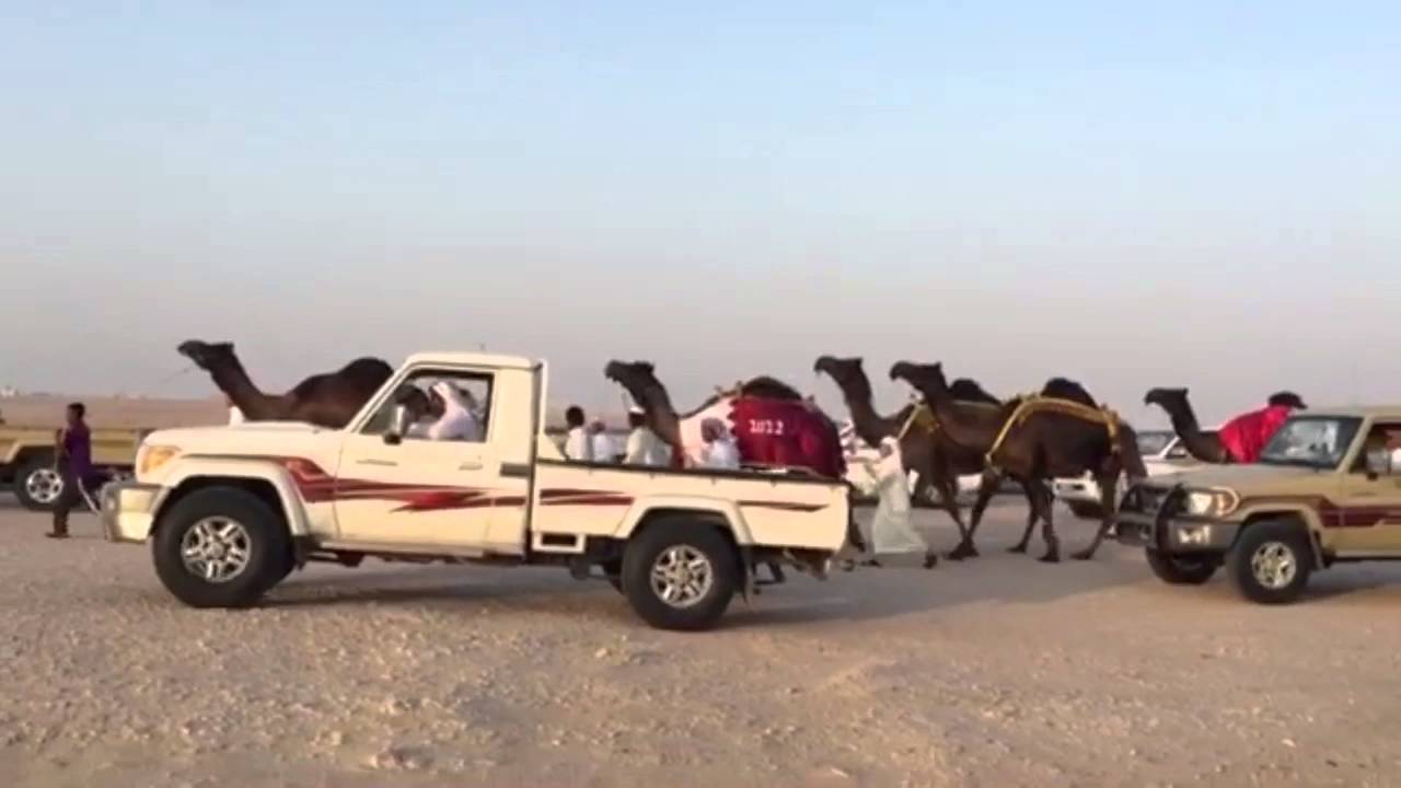 مسيرة مزيونه ل الشيخ / سالم بن علي آل سفران