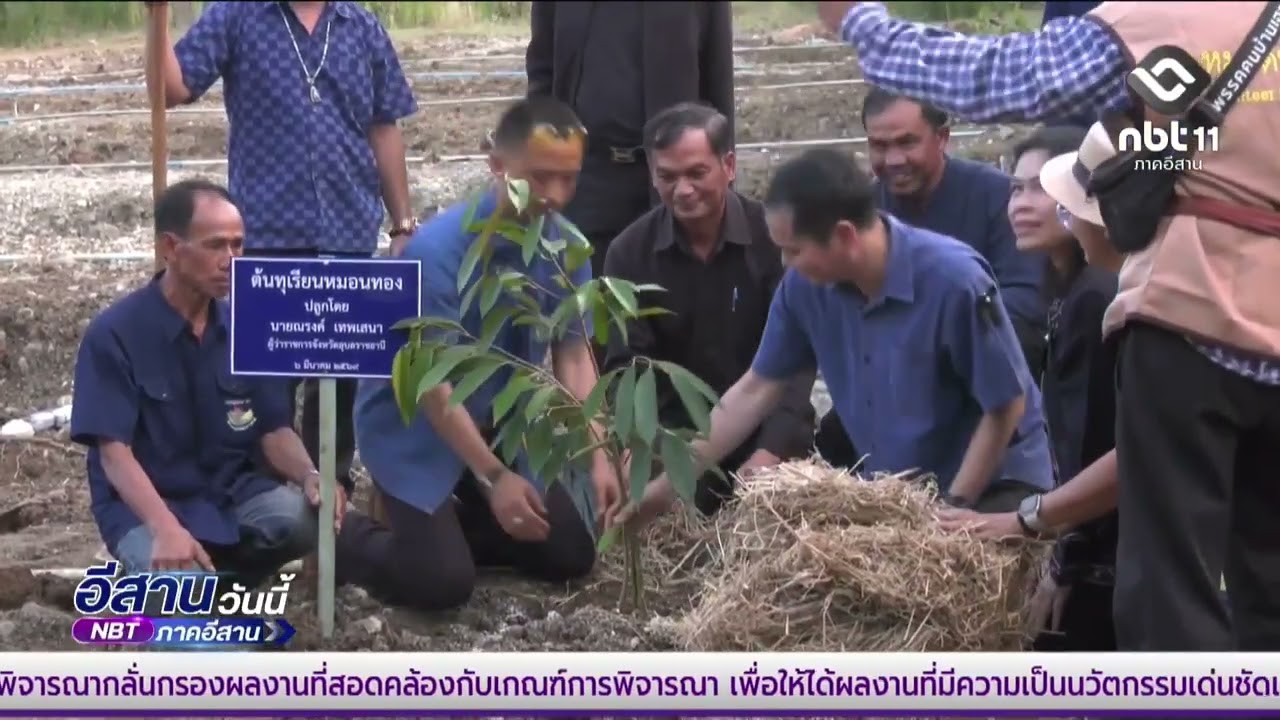ปัดดอกทุเรียนลำโดม | อีสานวันนี้ 11 มีนาคม 2569