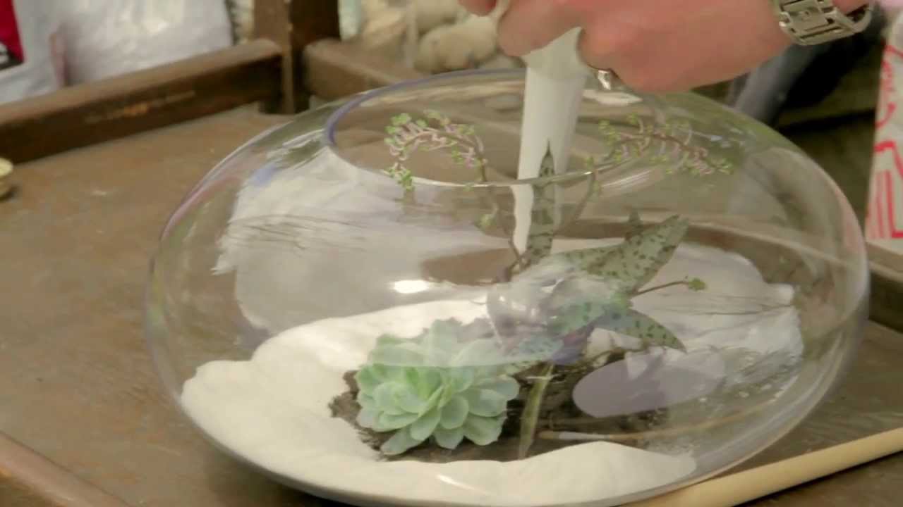 Gardening Tutorial: How to Make a Terrarium