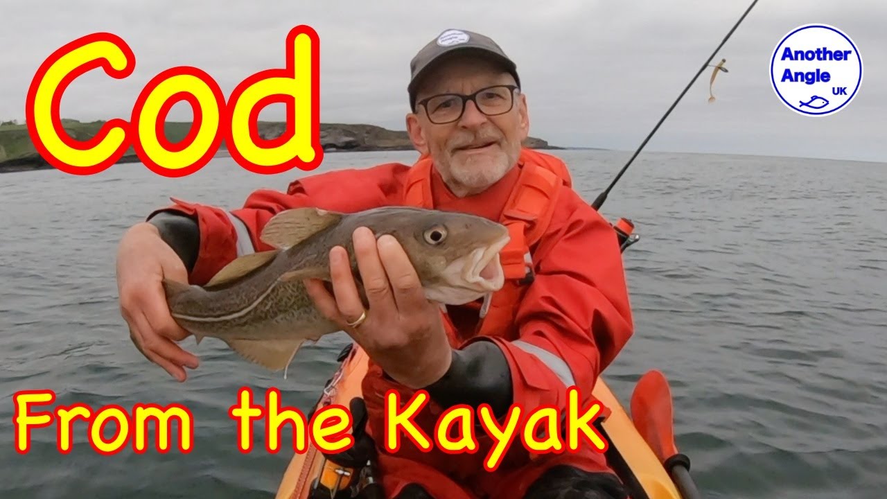 Cracking Cod fishing from the kayak : Catterline, Aberdeenshire : Perception Triumph 13