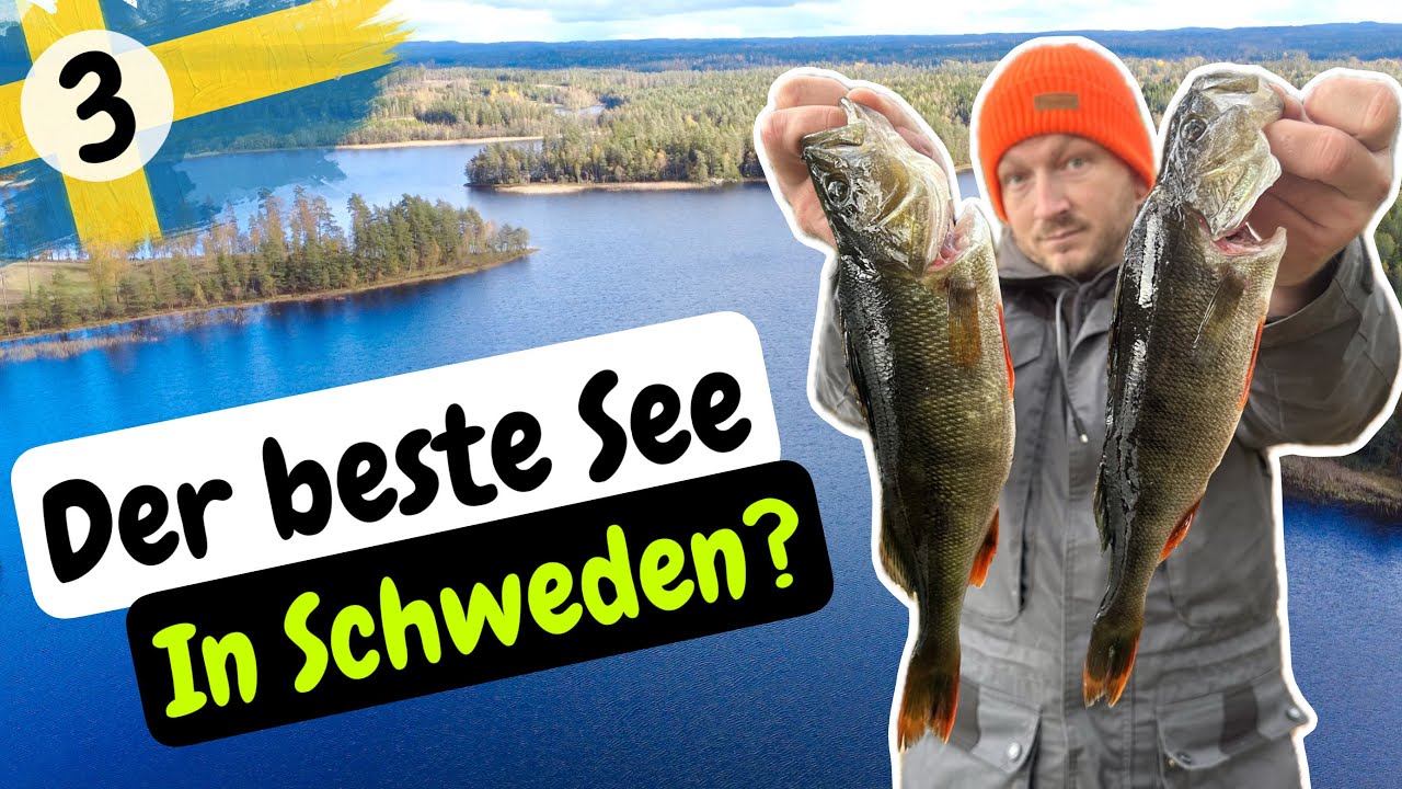 Angeln in Schweden auf DICKE Barsche und Hechte