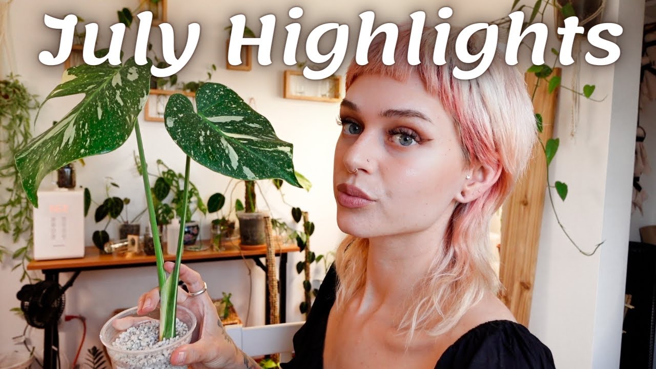 Houseplant Highlights July 2021 | M Thai Constellation Update, Cactus Garden, & New Growth