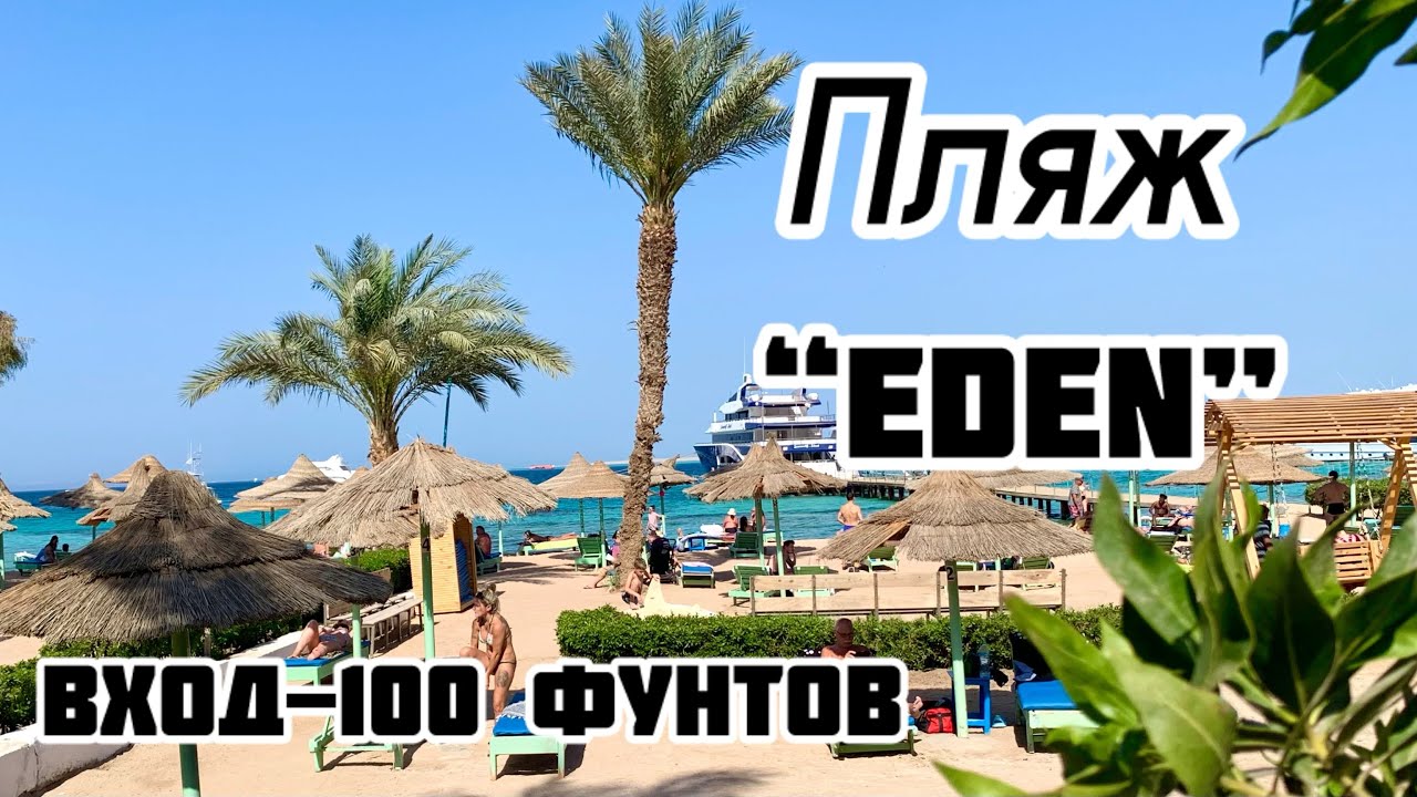 Пляж “Eden”. Обзор пляжей Хургады.Шератон.Египет.🏖️🌴🐬🇪🇬👙🐚