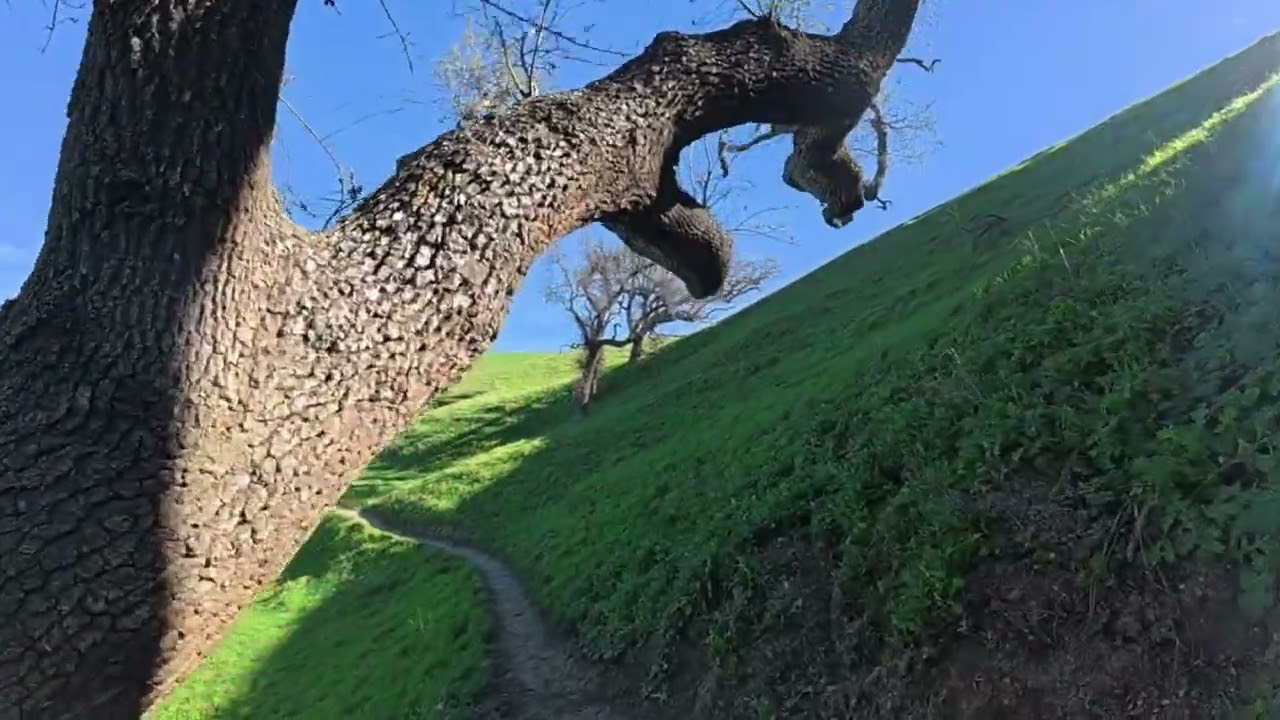 Del Valle regional park, CA. Lake trail with the cliffs access. February, 2026