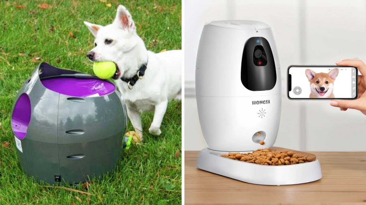 150 CLEVER Amazon Products For Your Pets!