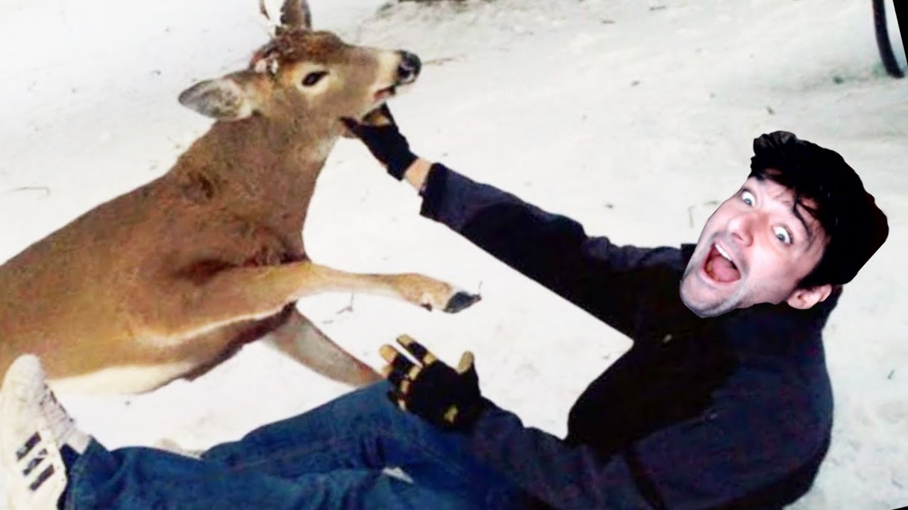 О боже! Это же ГАЛИО и УДИР! | Legends of Runeterra