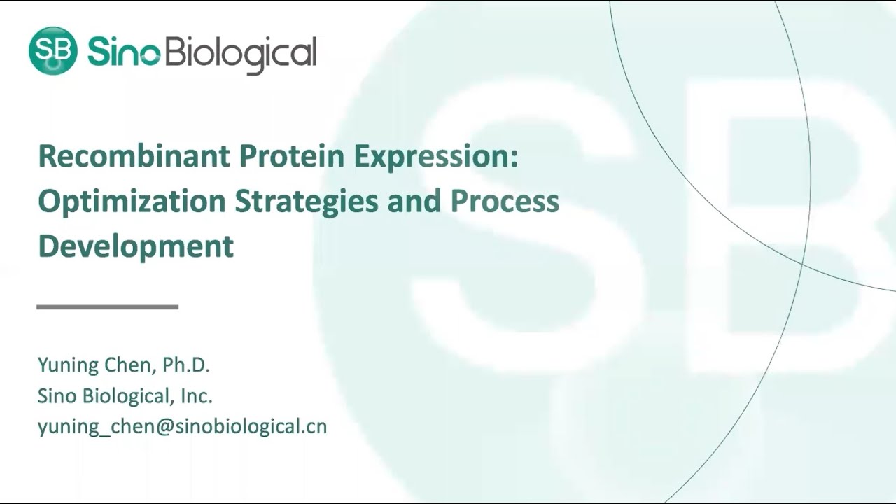Recombinant Protein Expression Optimization Strategies and Process Development