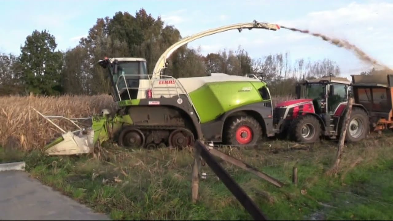 Maïs 2023 | Claas Jaguar 960 Terra Trac | 5x Massey Ferguson | 4x Dezeure | muddy field | Verreth