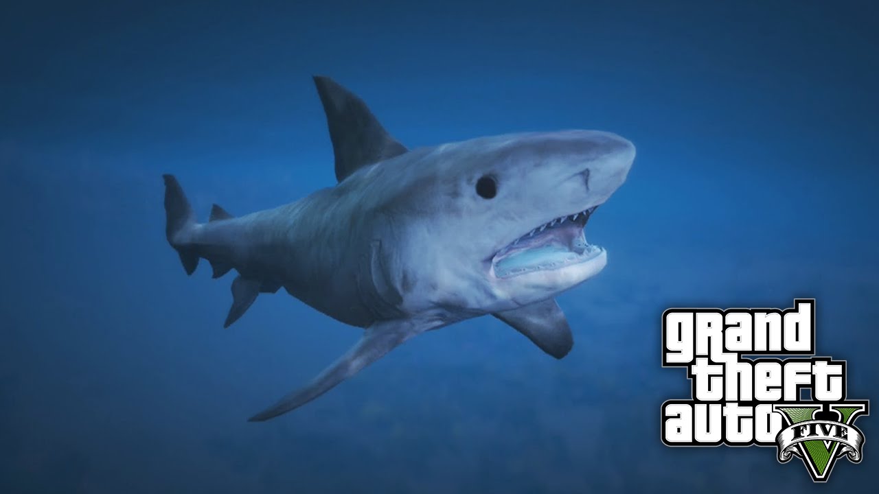 How To Play As A SHARK on GTA 5 - Play As A Shark, Killer Whale, Sting Ray & Fish!
