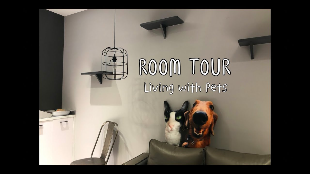 House Tour/Room Tour 這是我們家－與寵物共築美好生活。一人一狗一貓的溫馨小房子/幫姆明換了新的貓砂盆【Mushroom's Life】