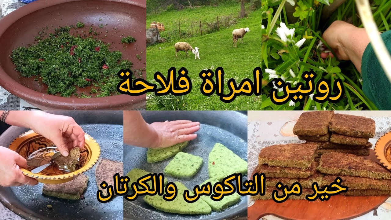 جنة فوق الارض😮تهليت فيكم حوستو معايا نحيناالبوبرايس درت 