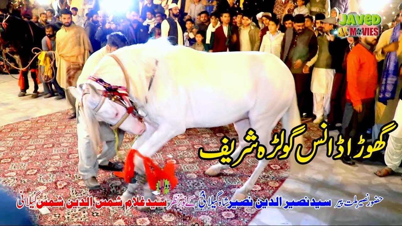 Ghora (Horse) Jalwa Dance Session At Golra Shareef Mehndi Program