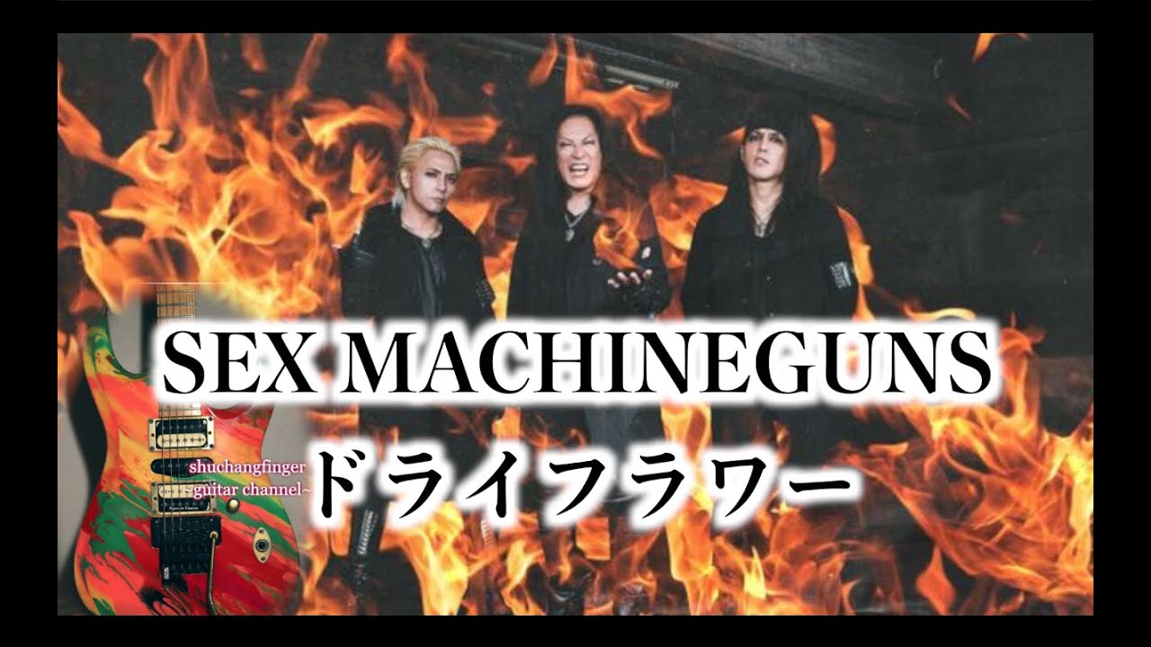 SEX MACHINEGUNS / ドライフラワー