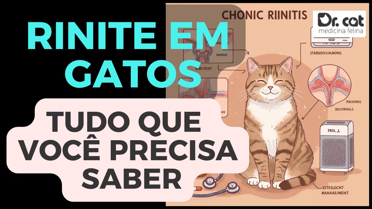 RINITE EM GATOS: UM GUIA DEFINITIVO