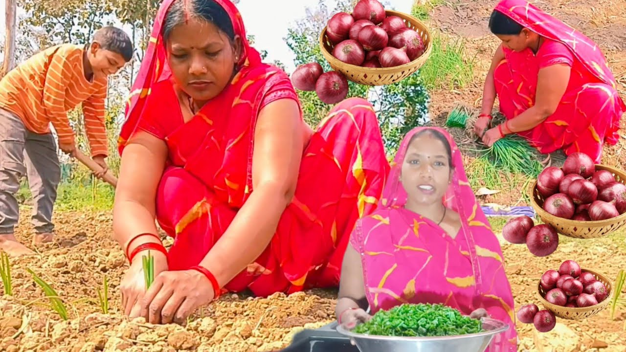 गांव की औरत, खेत से रसोई तक कैसे संभालती हूं सारा काम गांव में प्याज कैसे लगाते हैं ll DesiLifestyle
