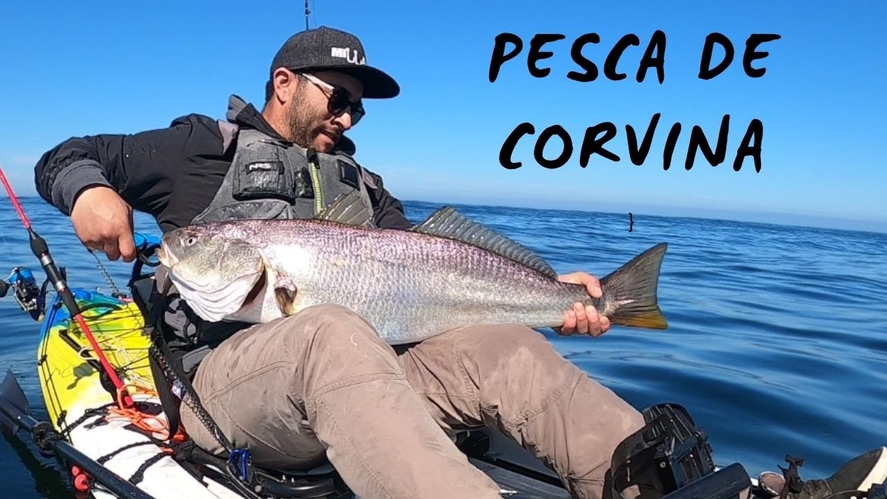 Pesca de una linda Corvina - (pesca en chile)