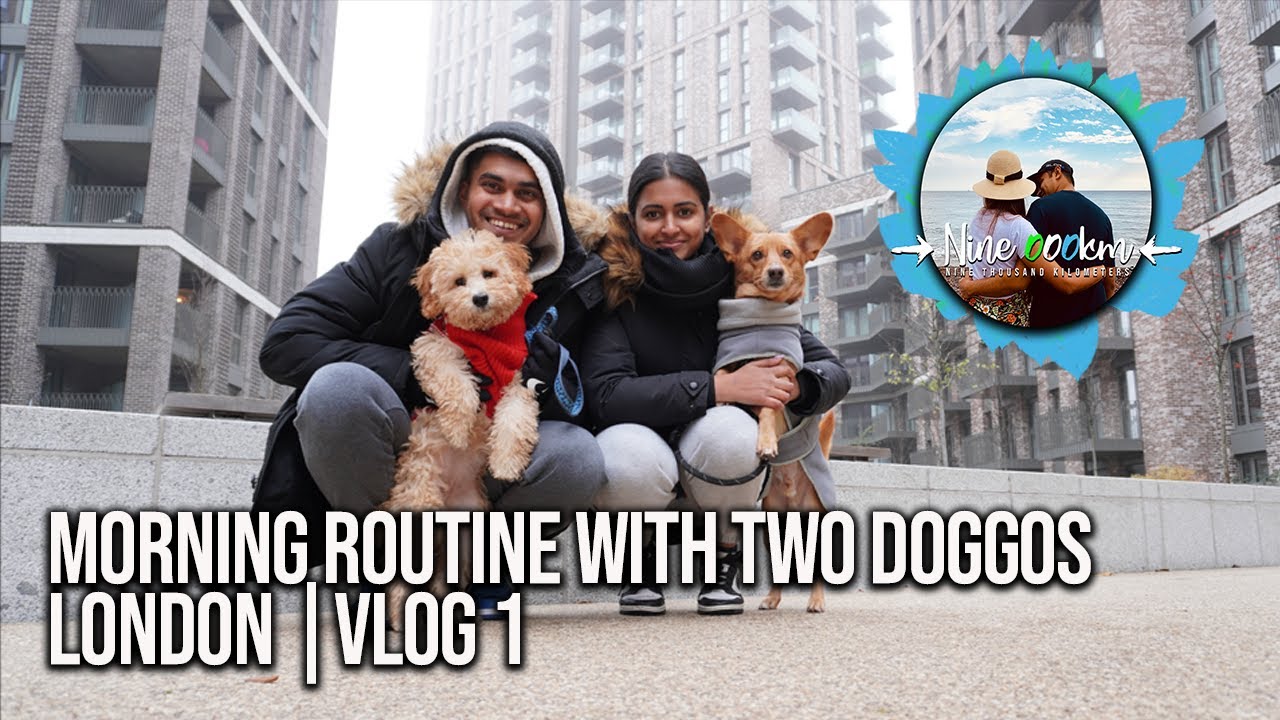 Morning Routine with our two dogs | London vlogs 1
