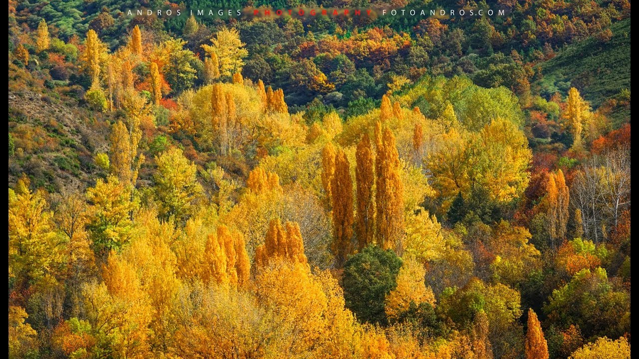 Oto&ntilde;o en las cuencas de los R&iacute;os Curue&ntilde;o y Tor&iacute;o   Le&oacute;n