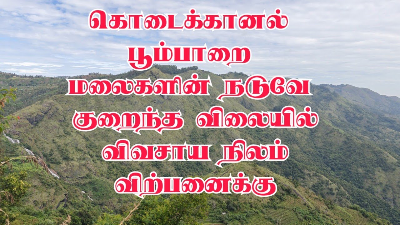 கொடைக்கானல் பூம்பாறை மலைகளின் நடுவே குறைந்த விலையில் விவசாய நிலம்#kodaikanal #sale 