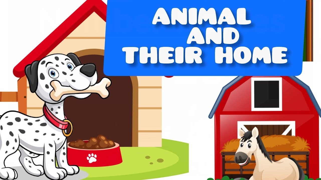 Know animals home #animalshome   #numbername1to10 #kidslearning #kidseducatio #numbername1to50