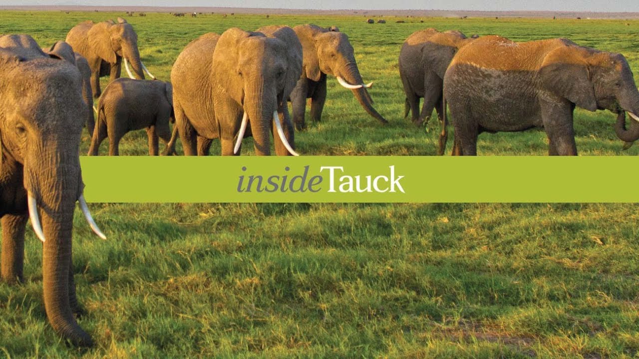 All about Kenya - insideTauck