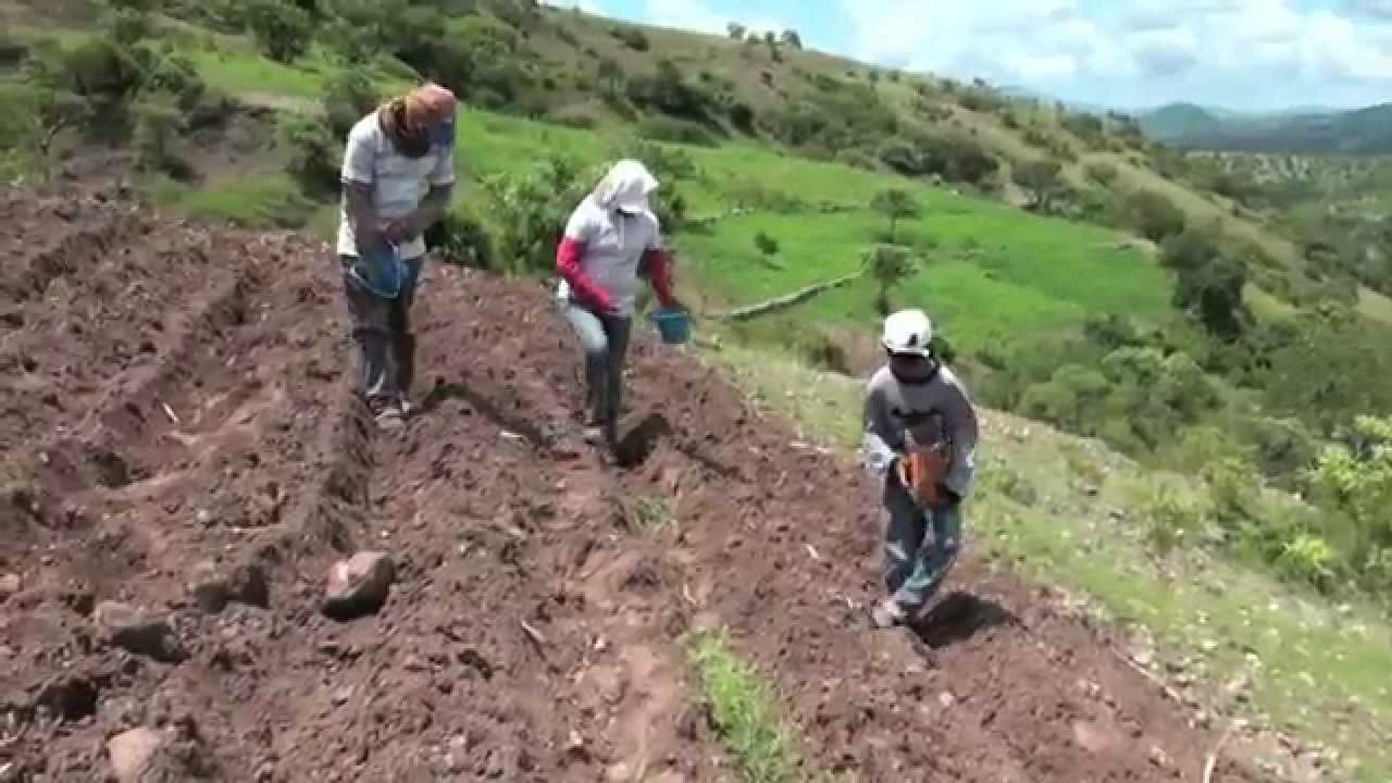 3. Familia campesina