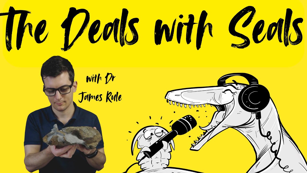 The deals with seals