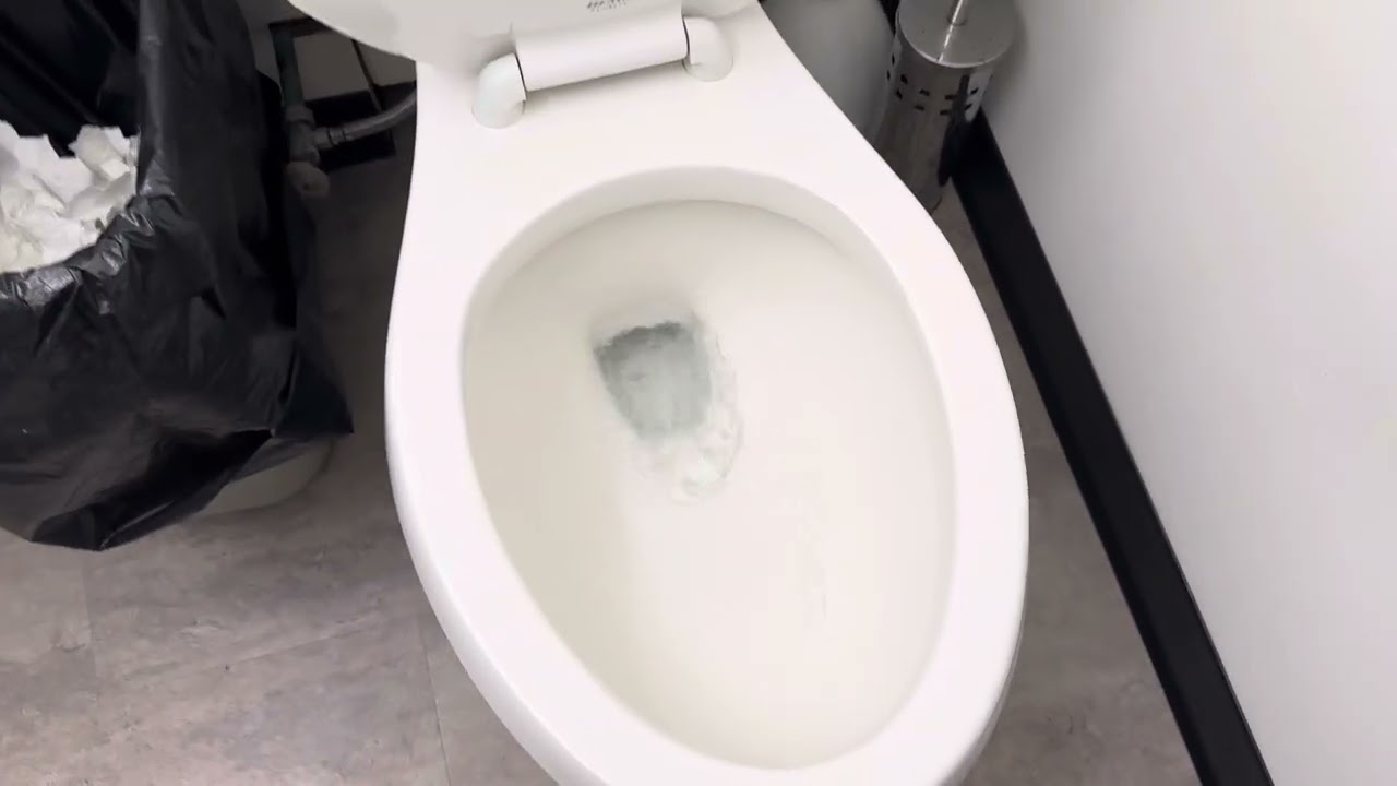 ProFlo Jerritt Toilet