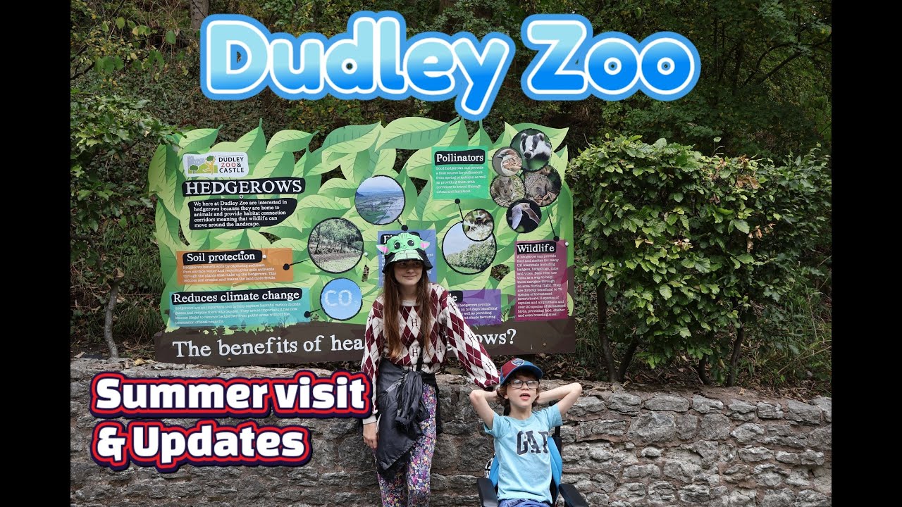 Dudley Zoo Summer visit and updates