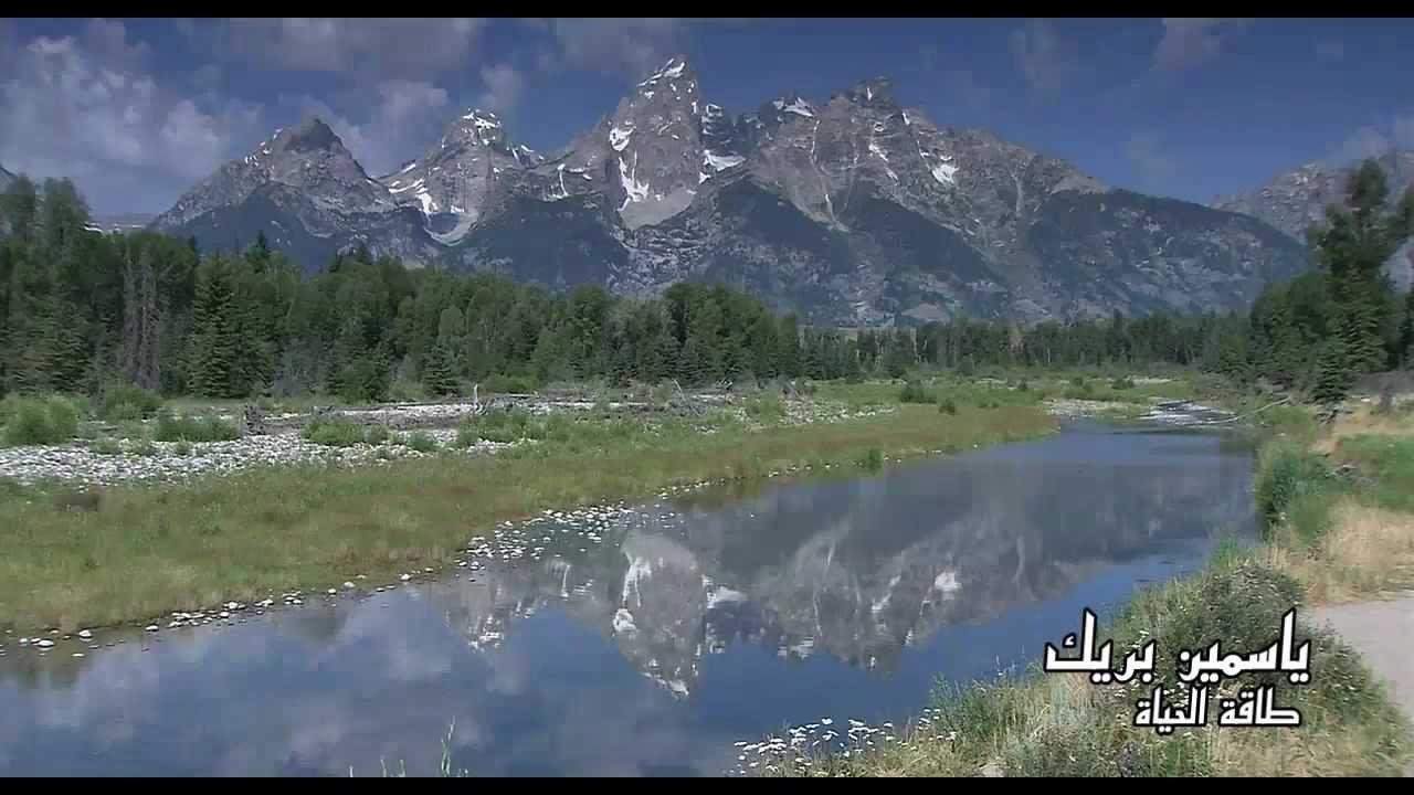 طاقة الحياة