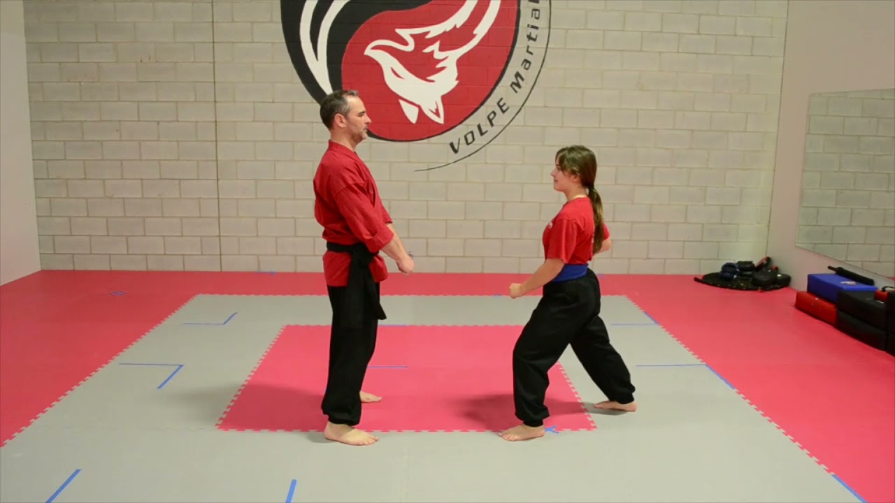 Punching & Striking Techniques 1 - 5