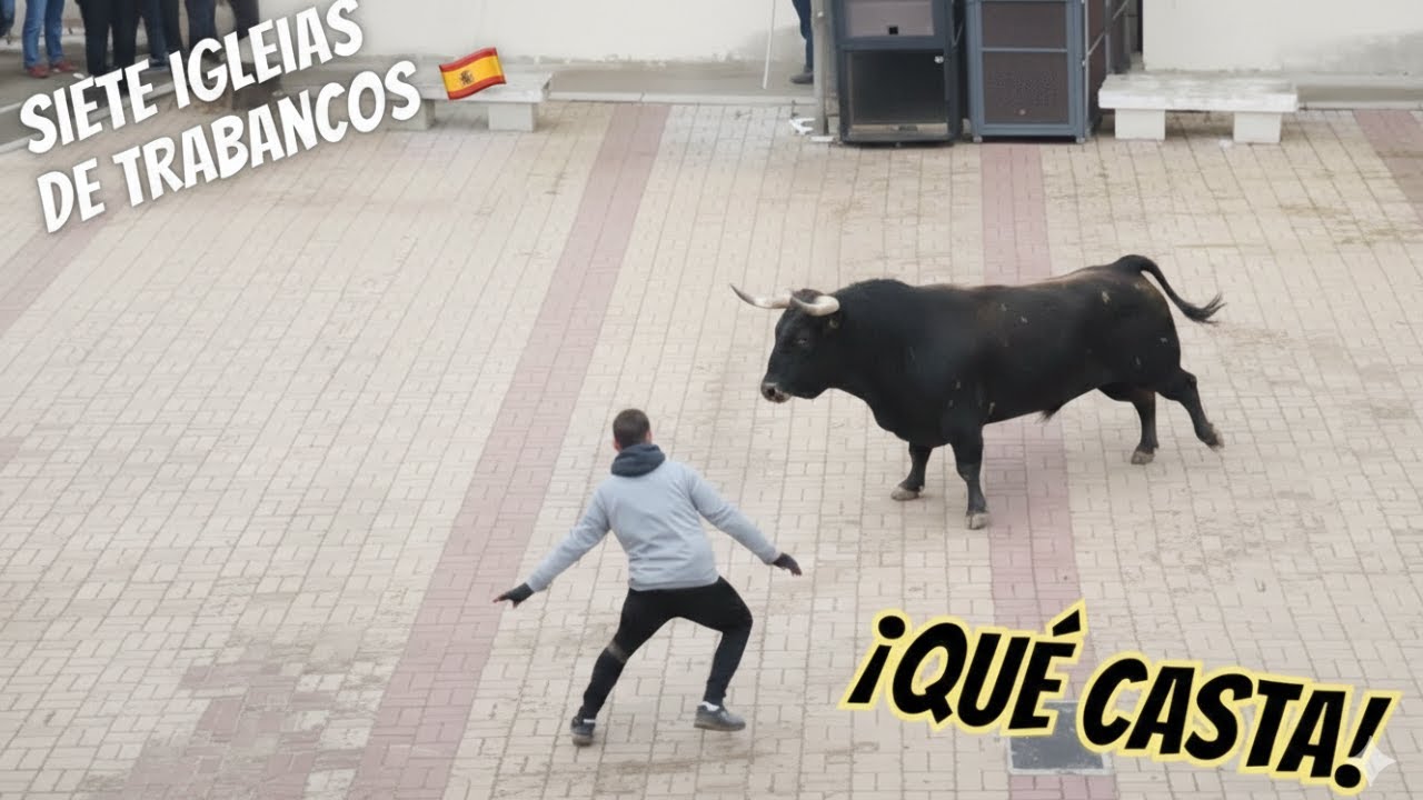 La bravura pura de los Toros de Caj&oacute;n en Siete Iglesias de Trabancos (Valladolid) 2026
