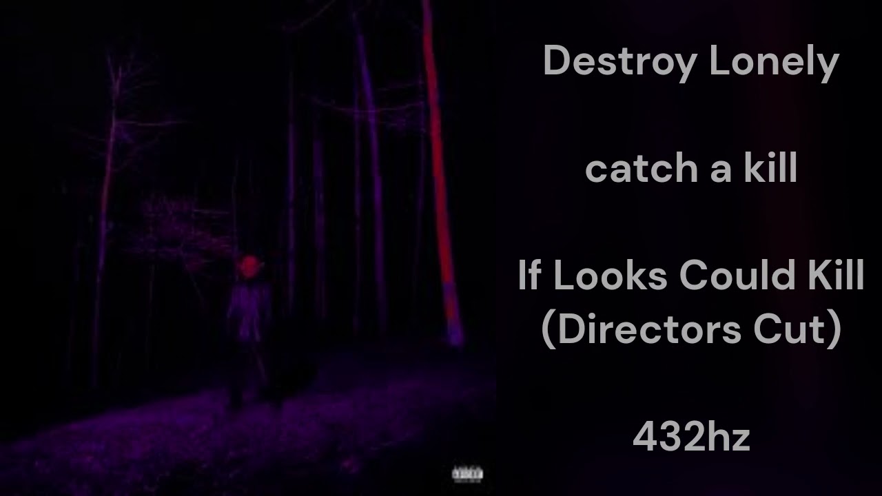 Destroy Lonely - catch a kill (432hz)