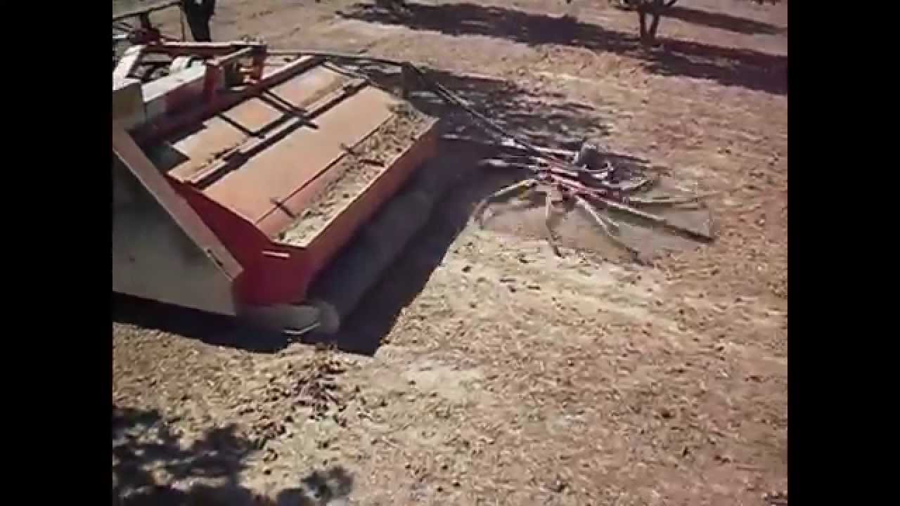 Raccoglinocciole CASSINELLI TR180 e TR200
