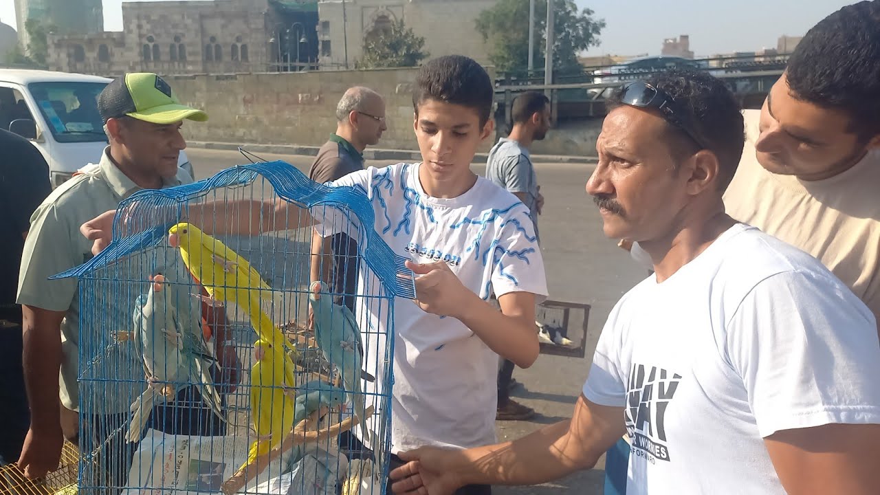 الناس اشترت ايه وبكام من سوق الجمعة اليوم وأسعار العصافير بأرقام اصحابها من داخل سوق الجمعة ٥يناير