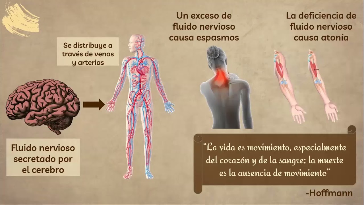 MEDICINA SIGLO XVII Y XVIII