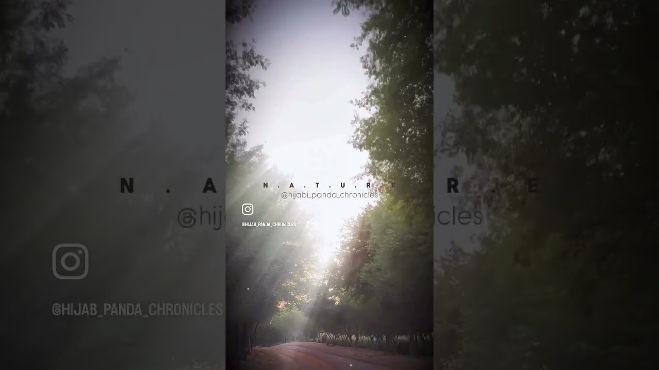 Explore the hidden trails of UAE 