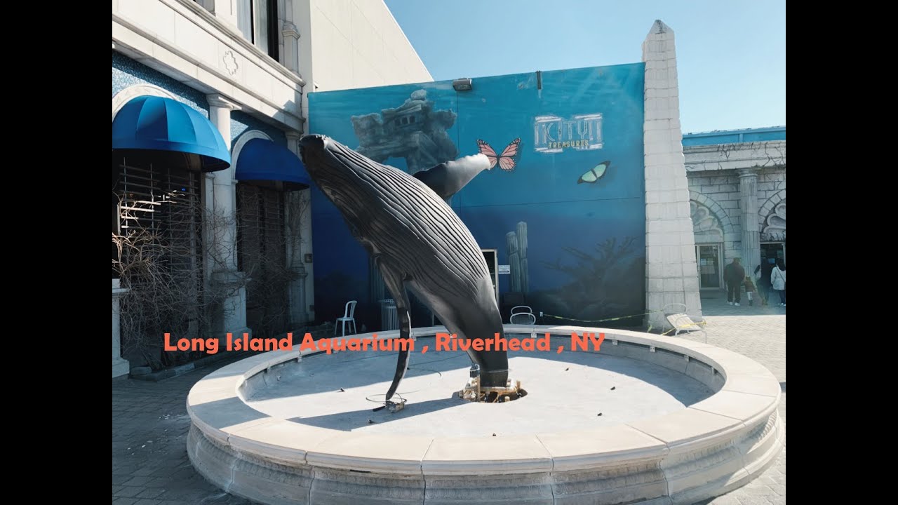 Long Island Aquarium, Riverhead NY November 2020