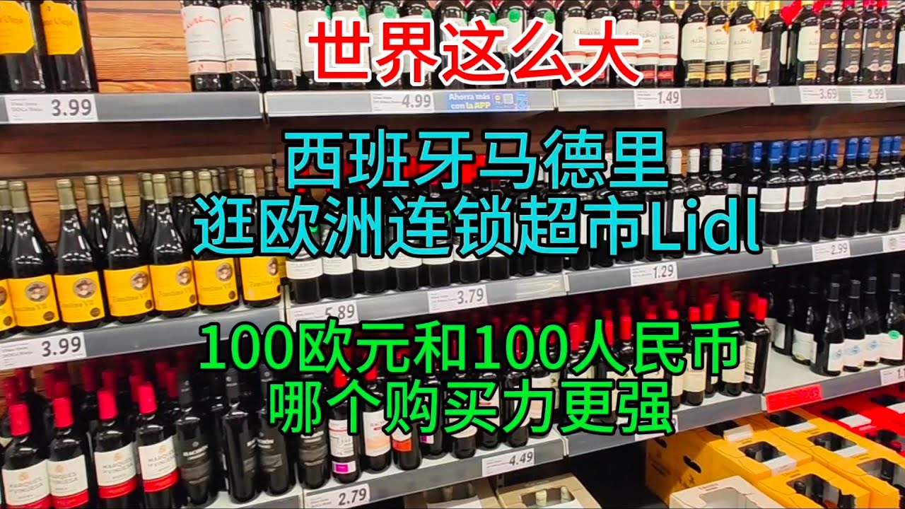 世界这么大，西班牙马德里逛欧洲连锁超市Lidl,100欧元和100人民币，哪个购买力更强，粤语中字幕2024-4-6