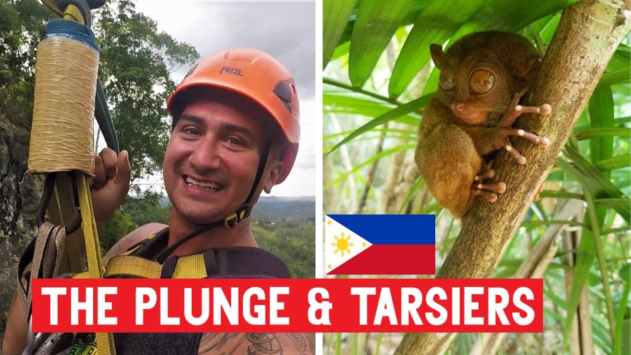 FINAL FUN in the Philippines | Tarsiers, The PLUNGE & Alona Beach | Panglao/Bohol